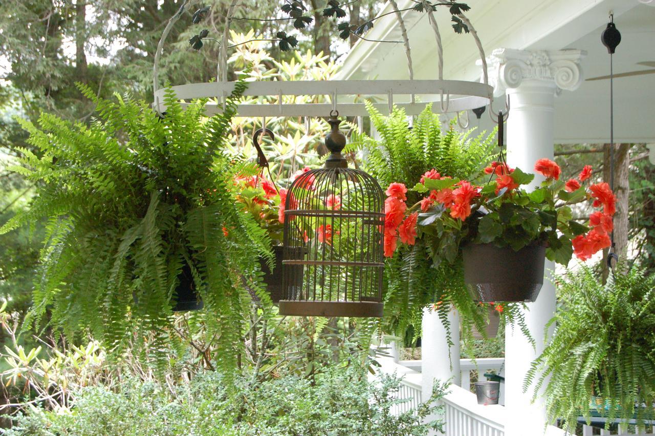 Mountain Laurel Inn Damascus Екстериор снимка